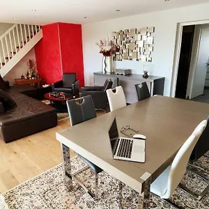 Le Vendome - Loft De Luxe Geneve Gaillard